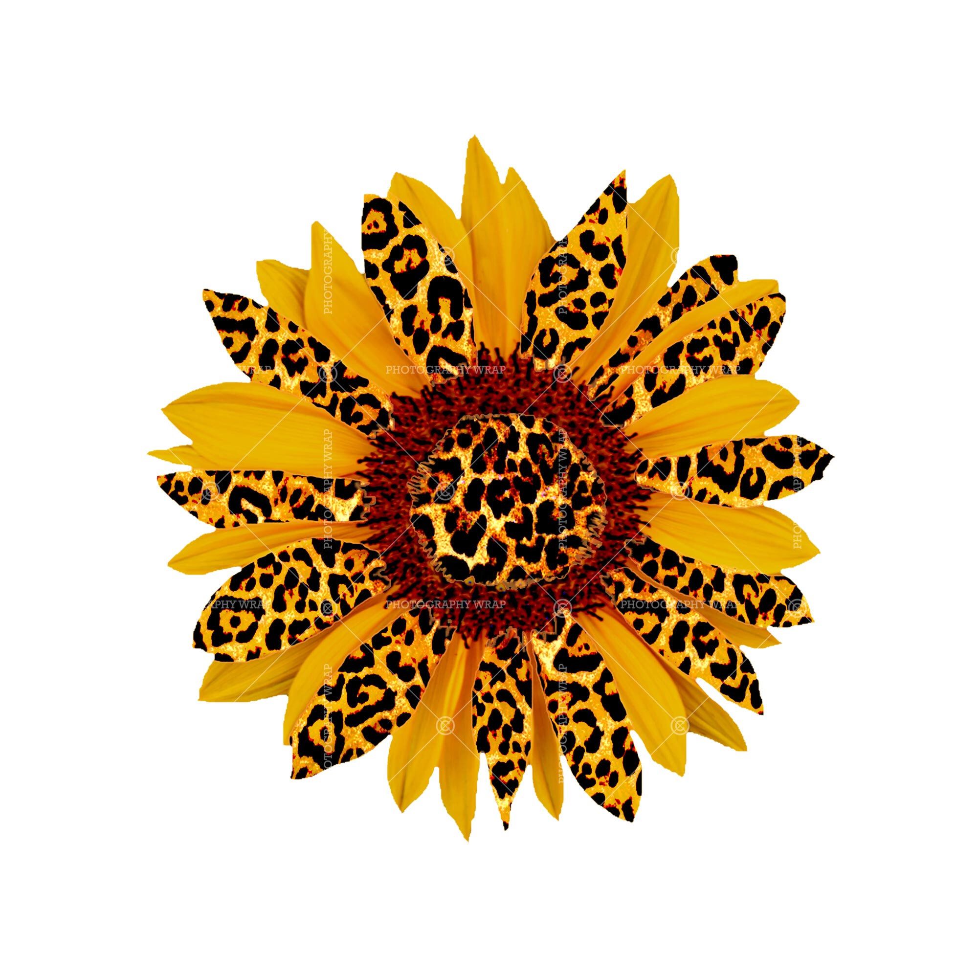 Sunflower Leopard Print Svg